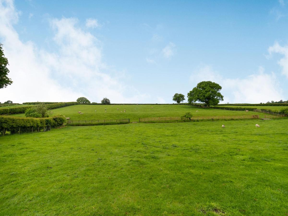 Brook Cottage Stearsby エクステリア 写真